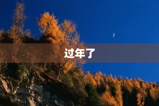 过年了，家人团聚的喜悦