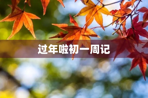 过年啦初一周记