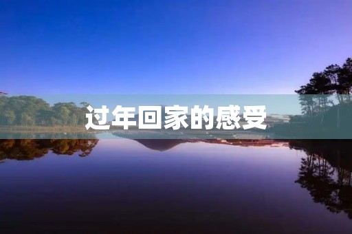 过年回家的感受