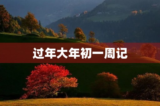 过年大年初一周记