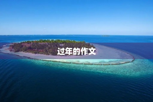 过年的作文 过年的作文