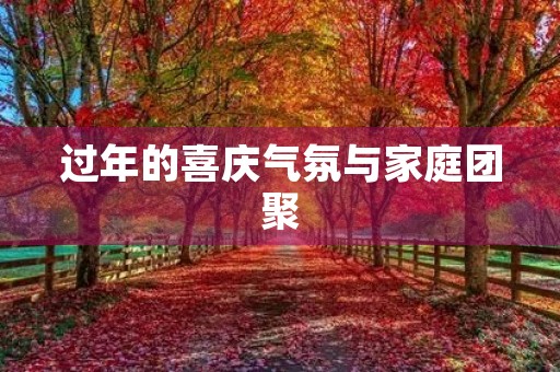 过年的喜庆气氛与家庭团聚