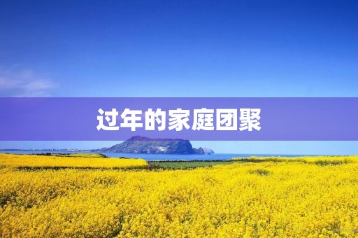 过年的家庭团聚 过年的家庭团聚