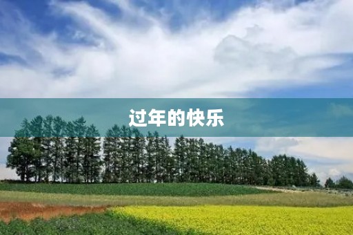 过年的快乐