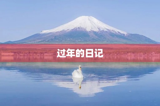过年的日记