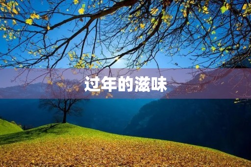 过年的滋味 过年的滋味