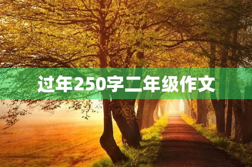 过年250字二年级作文