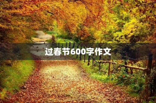 过春节600字作文 过春节600字作文