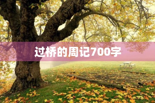 过桥的周记700字 过桥的周记700字