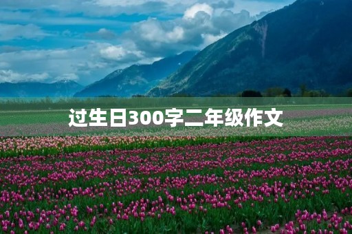 过生日300字二年级作文