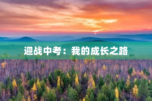 迎战中考：我的成长之路