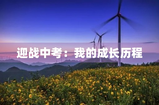 迎战中考：我的成长历程