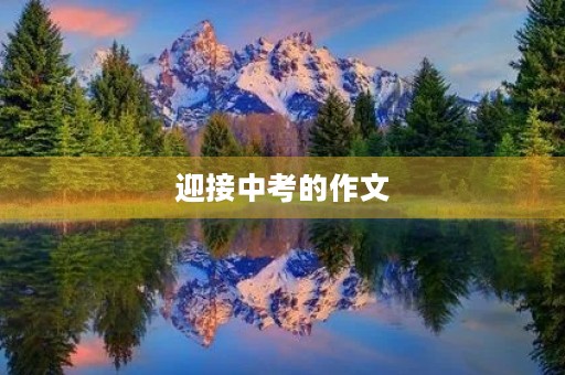 迎接中考的作文 迎接中考的作文