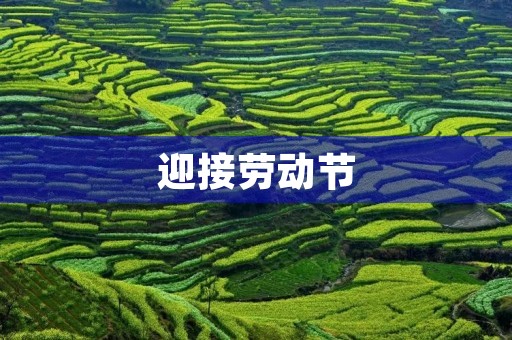 迎接劳动节,感恩奋斗 迎接劳动节,感恩奋斗