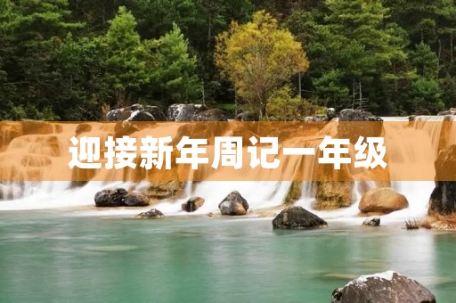 迎接新年周记一年级 迎接新年周记一年级