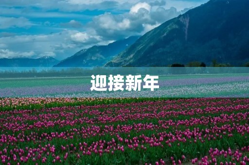 迎接新年，展望未来