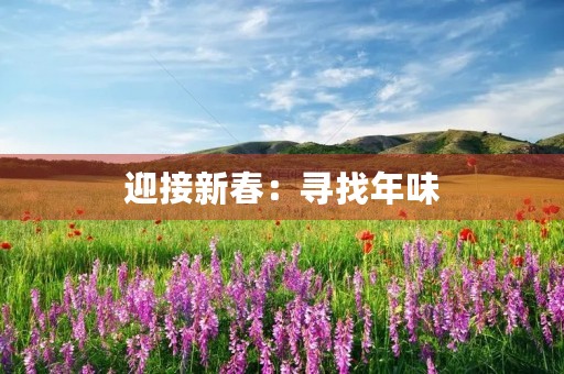 迎接新春：寻找年味