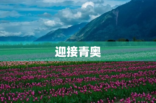 迎接青奥,从我做起 迎接青奥,从我做起
