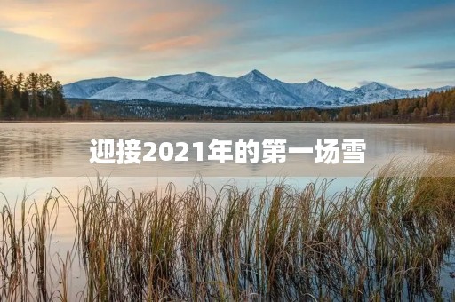 迎接2021年的第一场雪