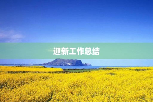 迎新工作总结