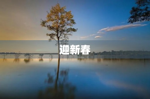 迎新春,过新年 迎新春,过新年