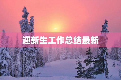 迎新生工作总结最新