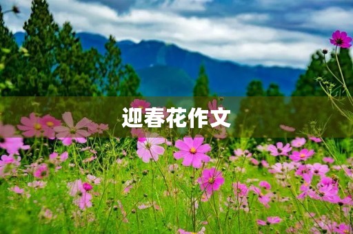 迎春花作文