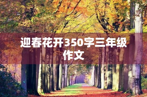 迎春花开350字三年级作文