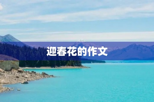 迎春花的作文 迎春花的作文