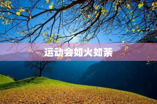 运动会如火如荼 运动会如火如荼