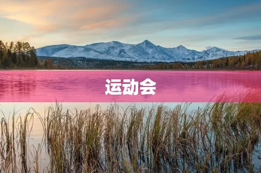 运动会