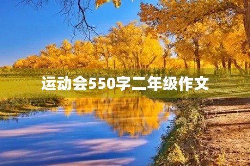 运动会550字二年级作文