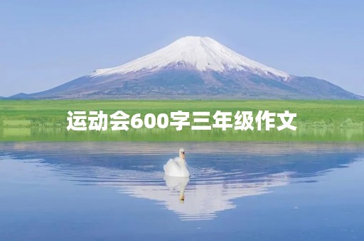 运动会600字三年级作文