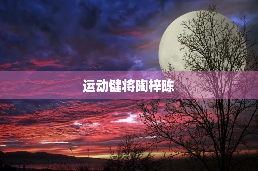 运动健将陶梓陈