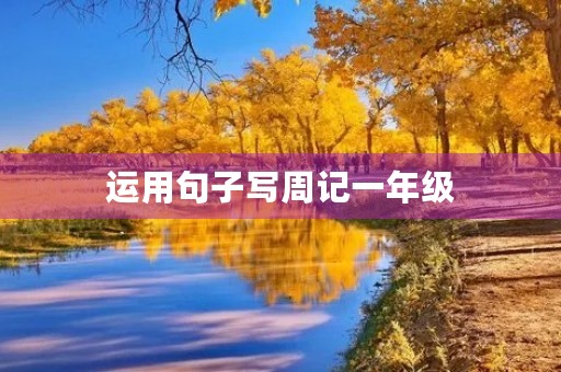 运用句子写周记一年级 运用句子写周记一年级