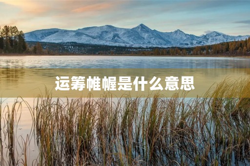 运筹帷幄是什么意思