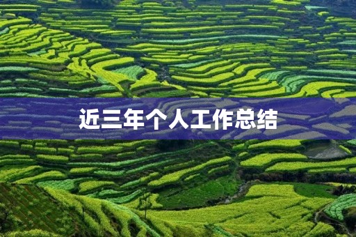 近三年个人工作总结