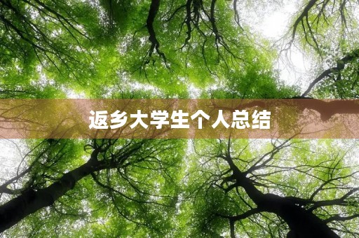 返乡大学生个人总结