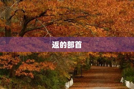 返的部首(返组词) 返的部首(返组词)