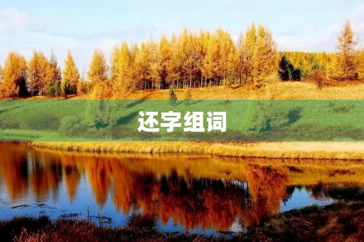 还字组词(还组词)