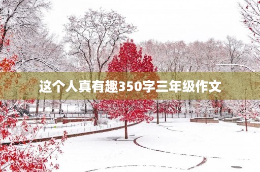 这个人真有趣350字三年级作文