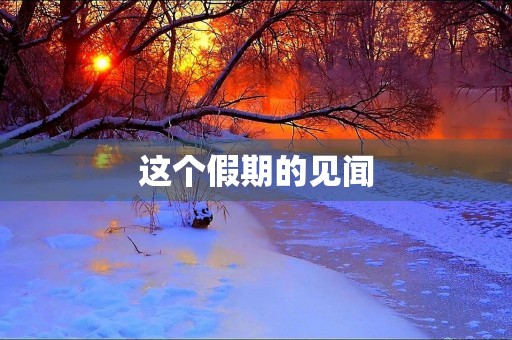 这个假期的见闻