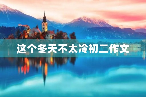 这个冬天不太冷初二作文