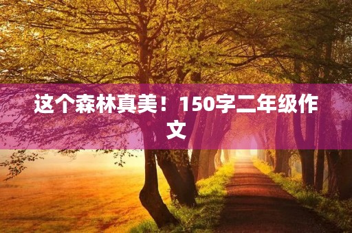 这个森林真美!150字二年级作文 这个森林真美!150字二年级作文