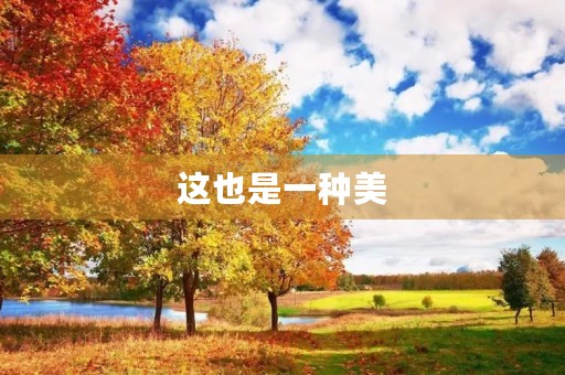 这也是一种美