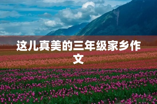 这儿真美的三年级家乡作文 这儿真美的三年级家乡作文