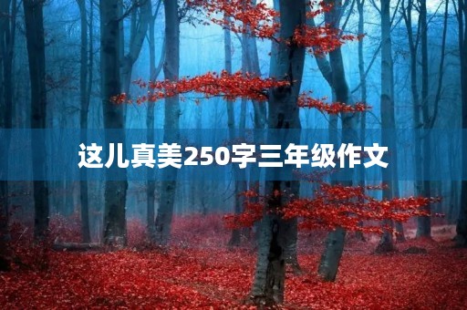 这儿真美250字三年级作文
