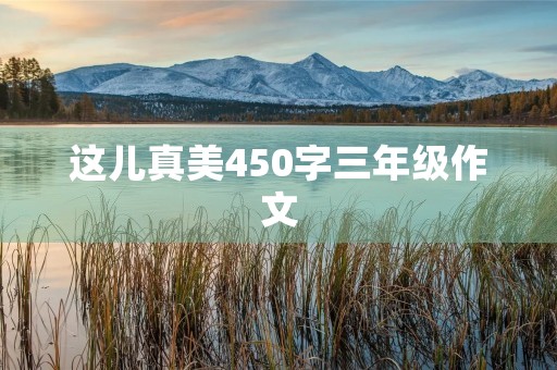 这儿真美450字三年级作文 这儿真美450字三年级作文