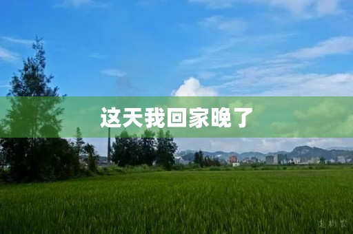 这天我回家晚了