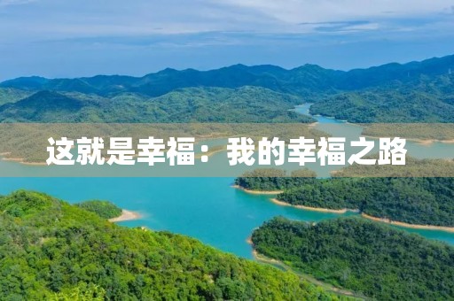 这就是幸福：我的幸福之路